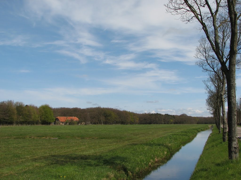 Zicht op weiland vanaf de Wittenburgerweg by Piet Guijt