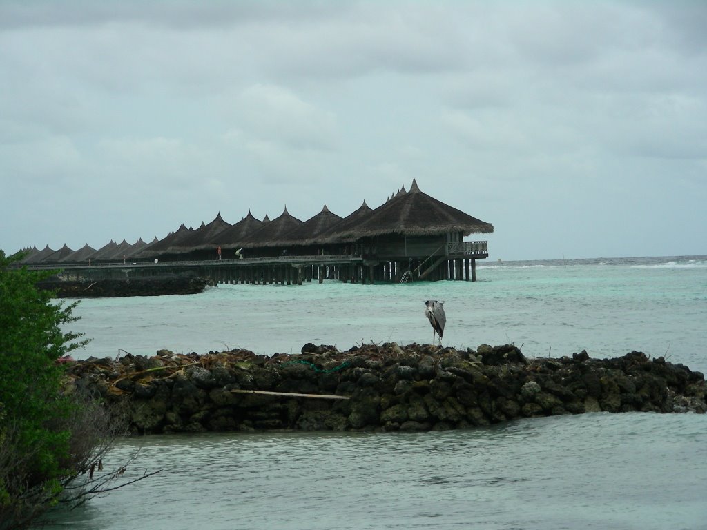 Kuramathi, Cottage by Fanattiq