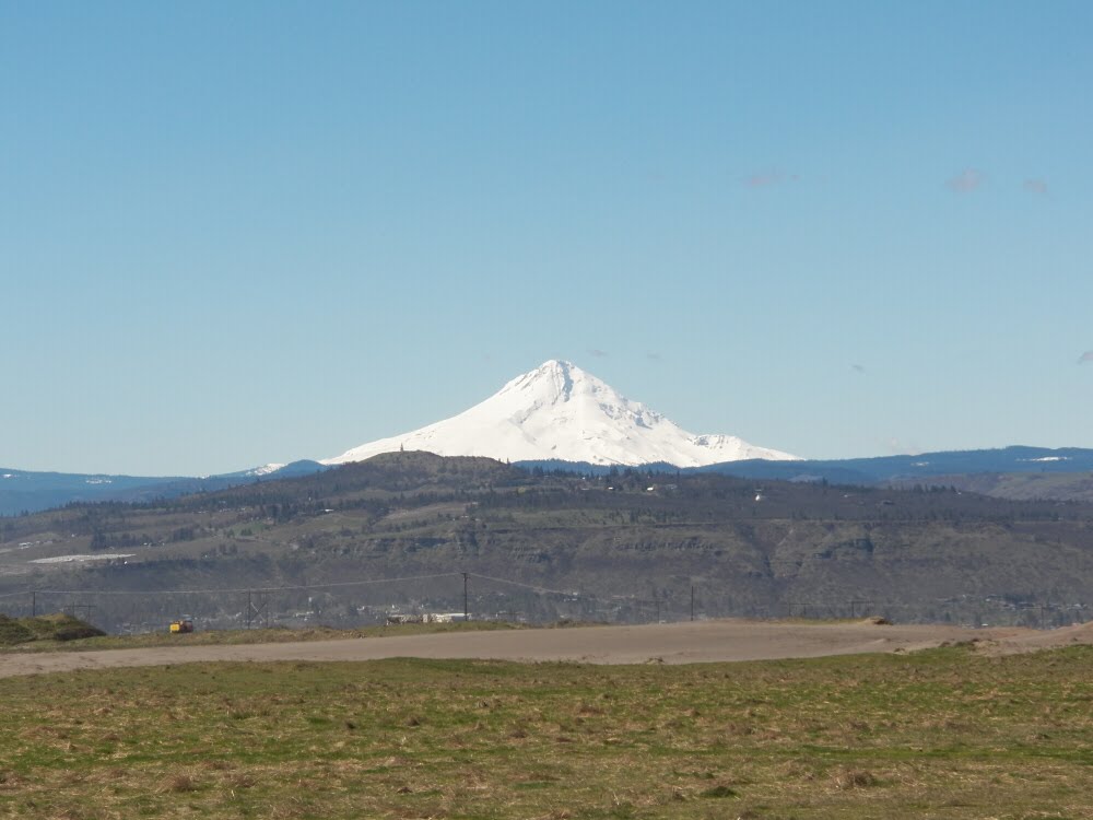 Mt Hood from near Dallesport Washington by Pamela Elbert Poland