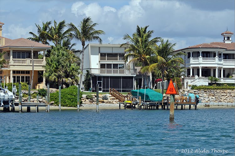 Intracoastal by Alida Thorpe