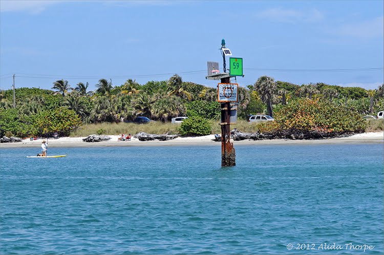 Intracoastal by Alida Thorpe