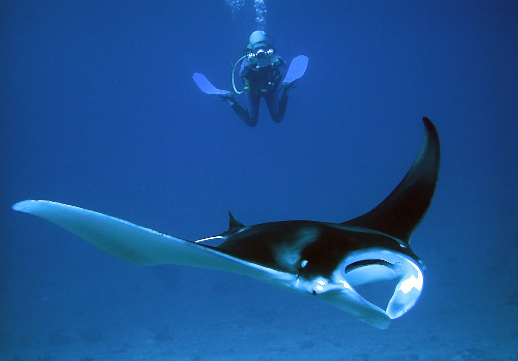 Gan, Maldives by Черняков Сергей