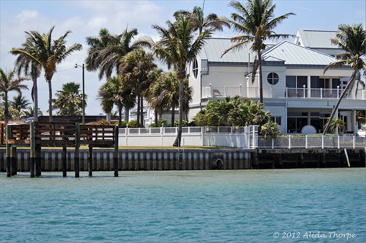 Intracoastal by Alida Thorpe