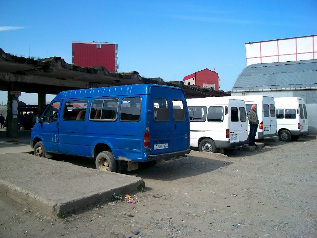 Village buses by Pogromca Gašnič