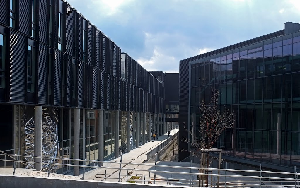 Department of Informatics, University of Oslo by Gunnar Maehlum