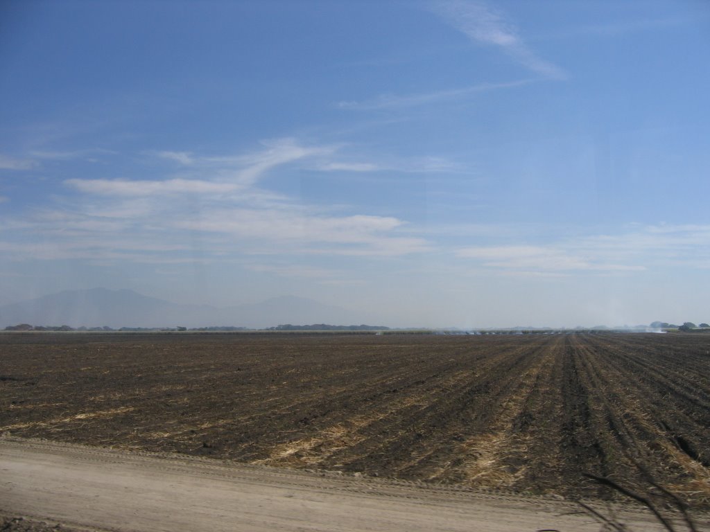 Burning off the cane field by perkins4