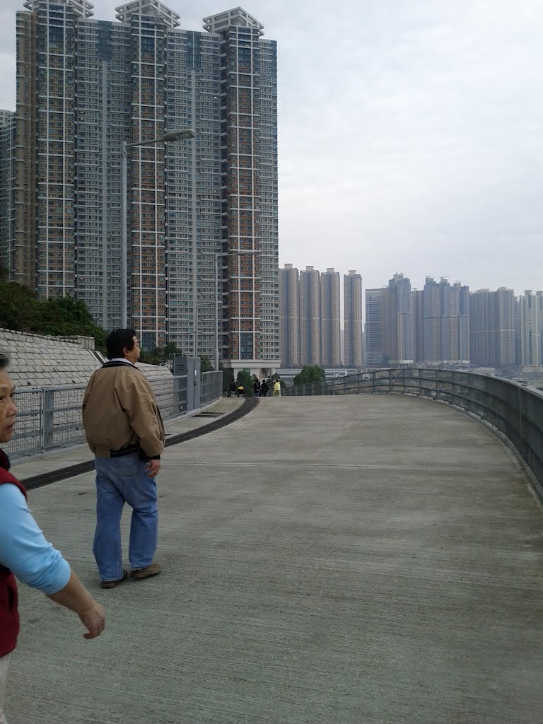 Walker Path connecting Tseung Kwan O Chinese Permanent Cemetery and Tiu Keng Leng by thinsing