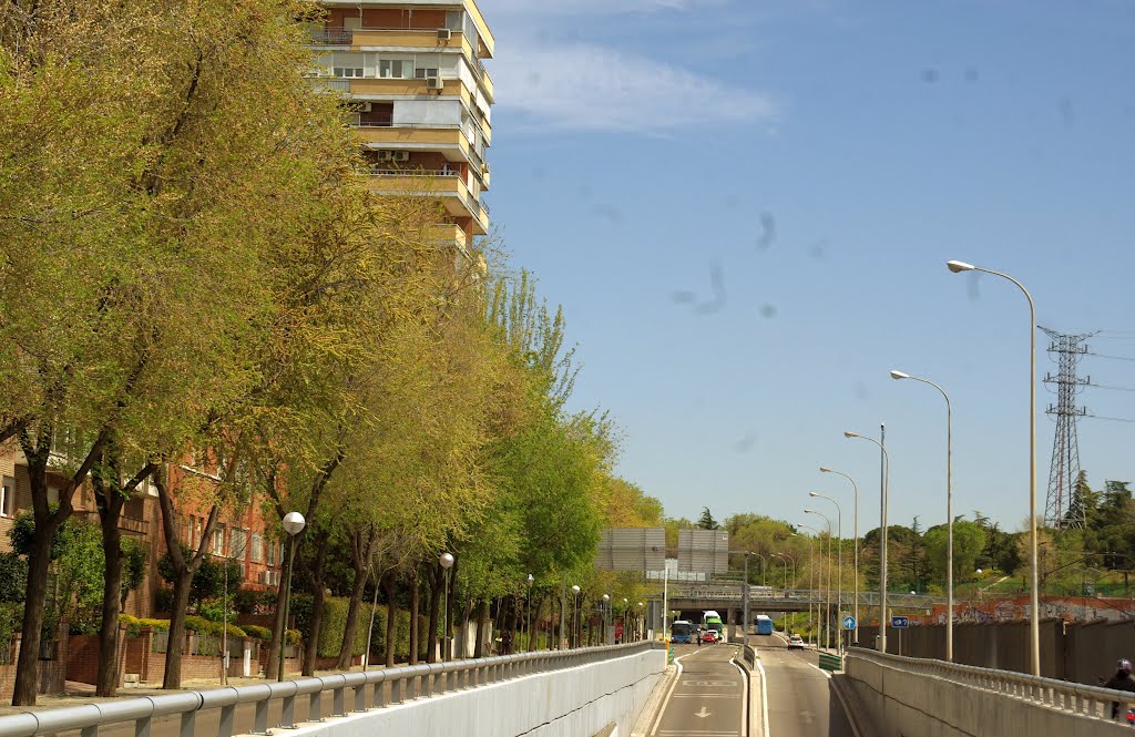 ® S.D. MADRID AVENIDA DEL PLANETARIO_VISTA by RICHTEA