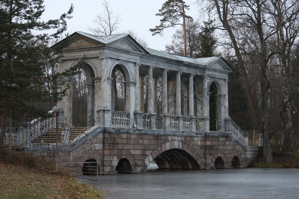 Pushkin, Saint Petersburg, Russia by Aleksandr Dezhin