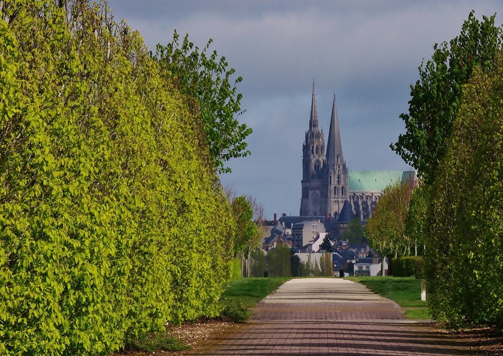 La cathédrale Notre-Dame de Chartres vue du Coudray by zambetti salvatore