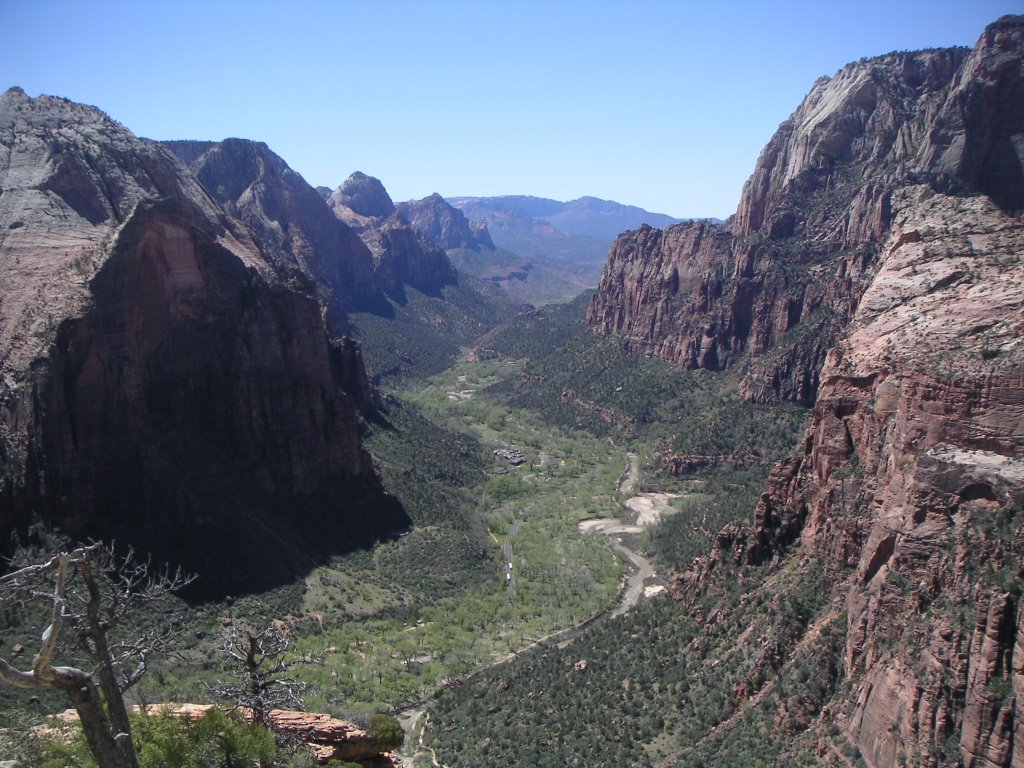 Angel's Landing View by Jeff R