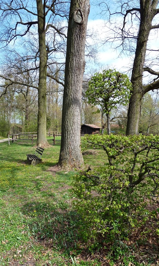 Waldähnliche Landschaft by WanderGroschi & CGK