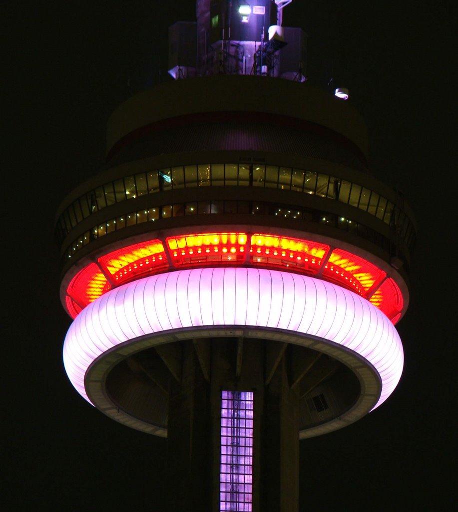 DSC08249s CN Tower 1/8/08 - W view by Volkan YUKSEL