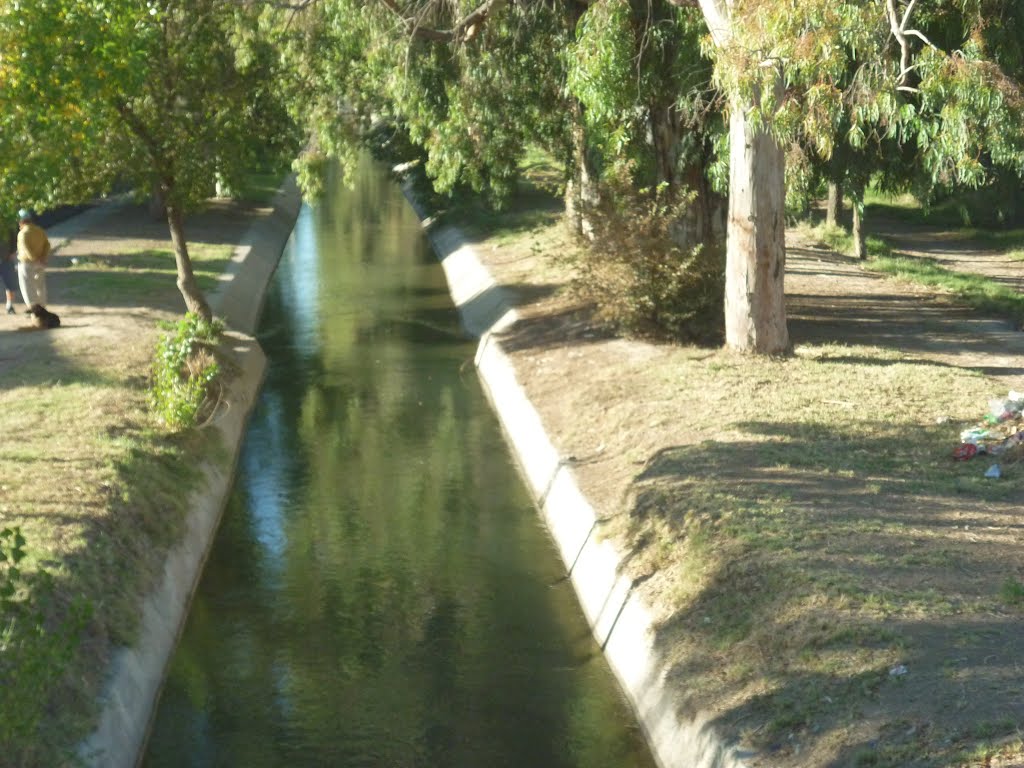 Canales de Riego en en Alto Valle .... Cinco Saltos.. by elsie5718