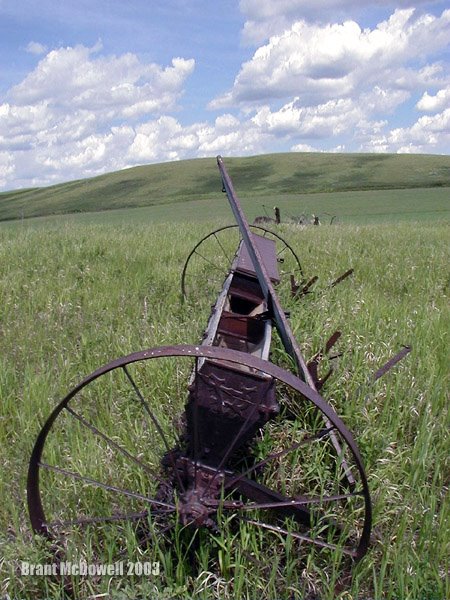 Seed Drill by Brant