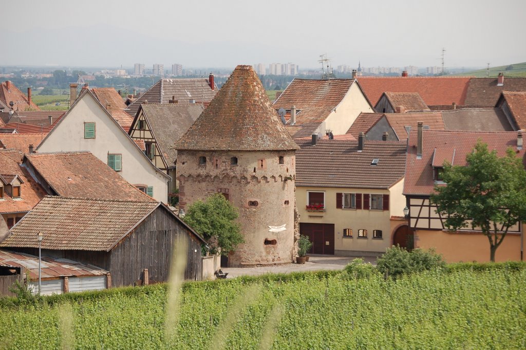 Tour des bourgeois d'Ammerschwihr by heitzmann benoît