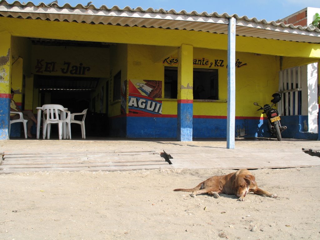 El clasico perro...flaquito y cansado by route324