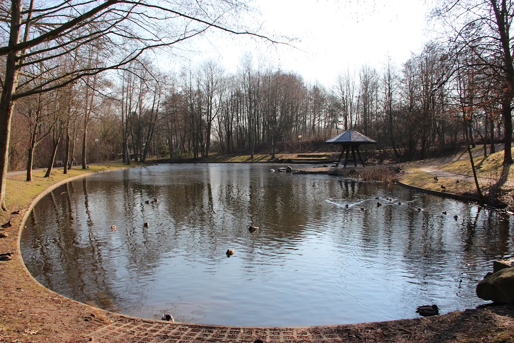 See im Stadtpark Baunatal by Volker Gutberlet