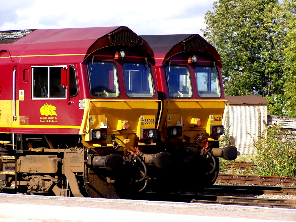 Class 66086 and 66237 Diesel Locomotives Photo, Didcot, Oxfordshire, England by Charles Moorhen