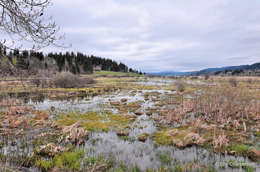 Lac de St-Point by Eric Charpentier ©