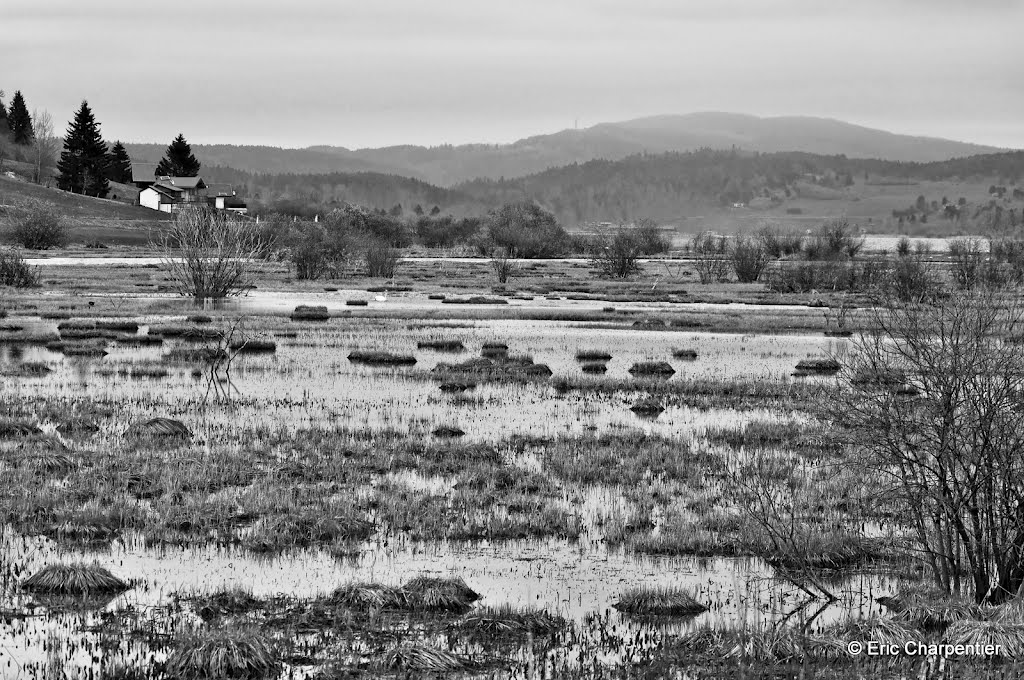 Lac de St-Point by Eric Charpentier ©