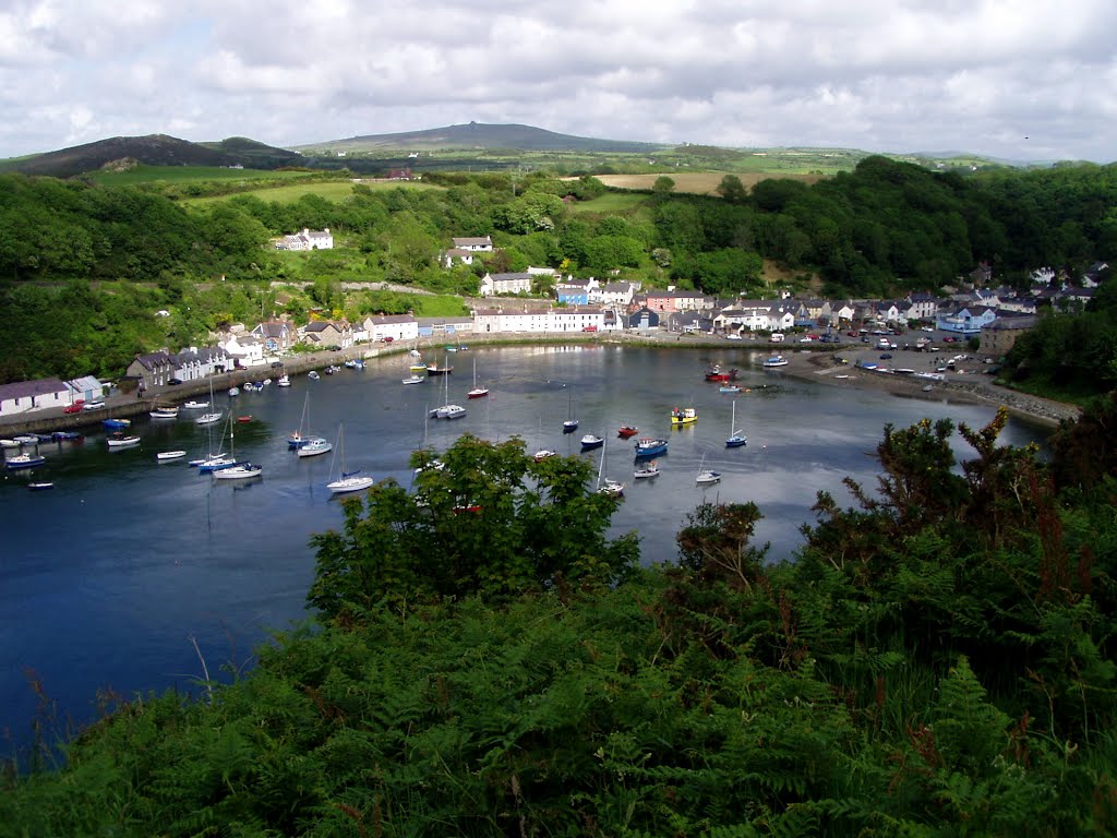 Fishguard Harbour Wales Photo. Location of the 1971 film, 'Under Milk Wood' - PHOTOS/ARTICLES at http://www.triond.com/users/Charles+Moorhen by Charles Moorhen