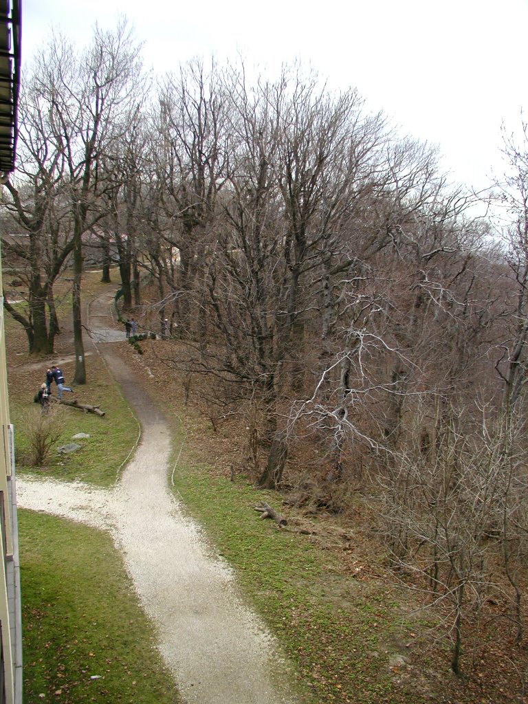 Sétány a szálloda mögött by KaroBacsi