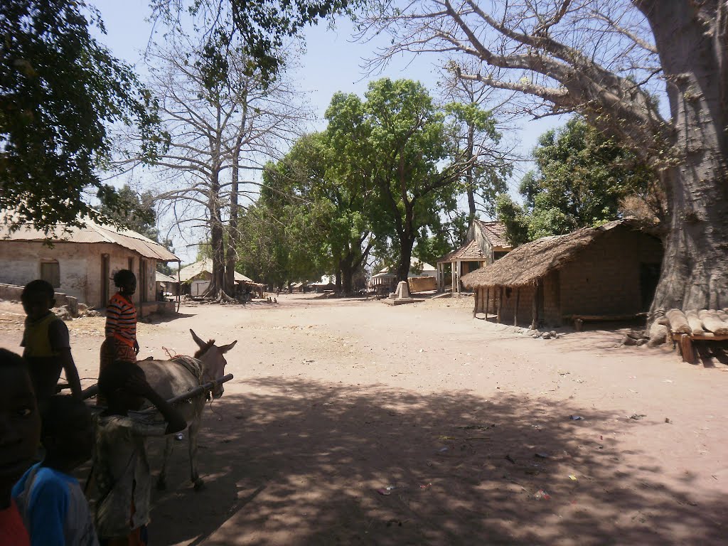 Canquelifá - Guiné Bissau by José António Sousa