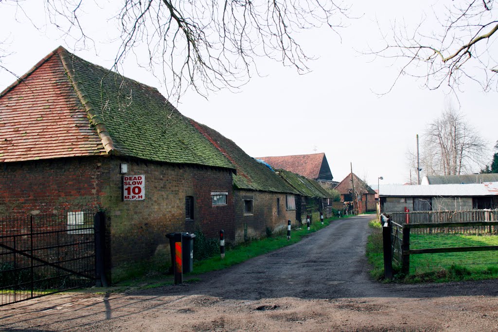 Tith Farm Buildings at Wraysbury by davewhitelock