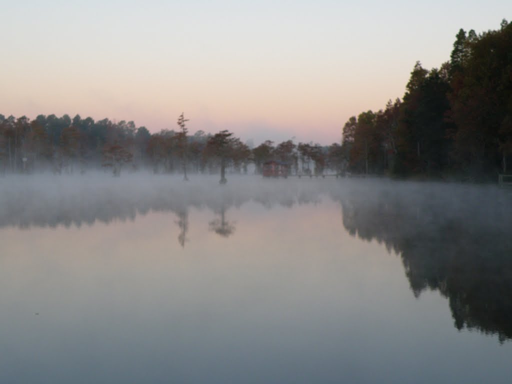 Second Mill Pond by Ed McDyer