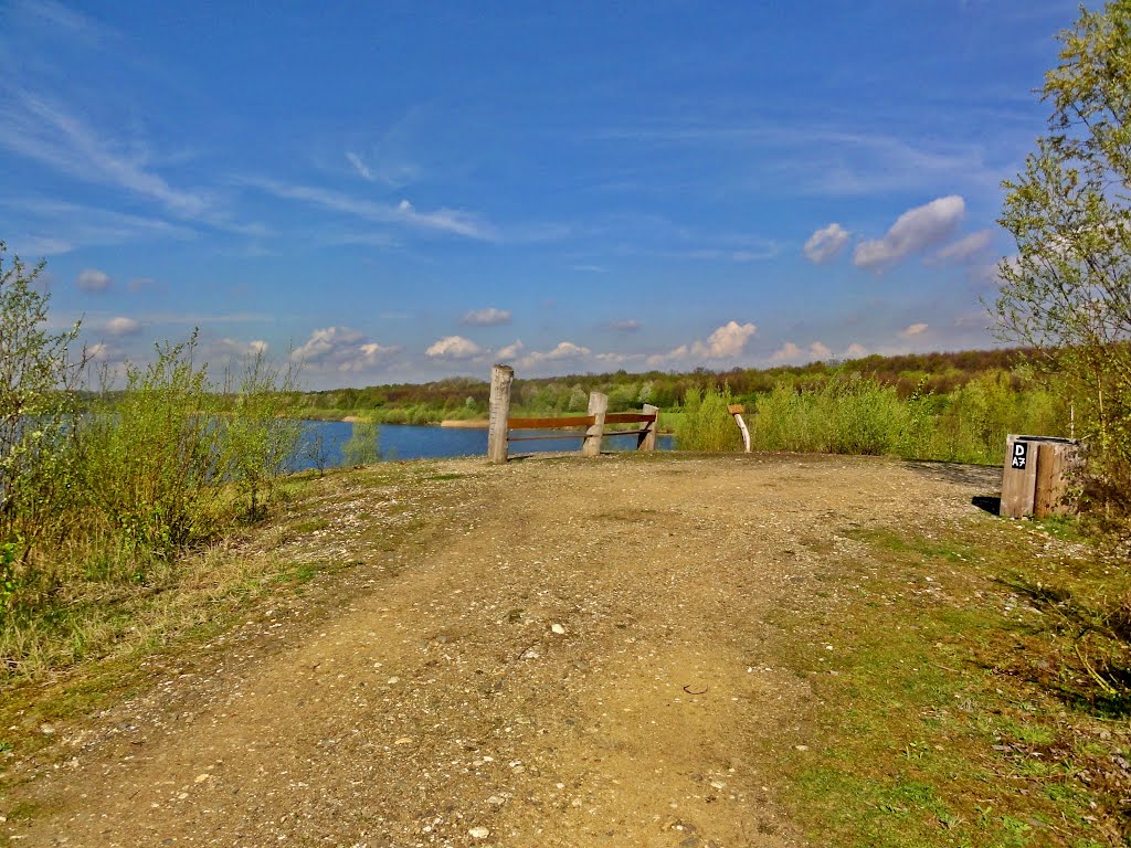 Naturschutzgebiet Elbsee by Willi Prinz