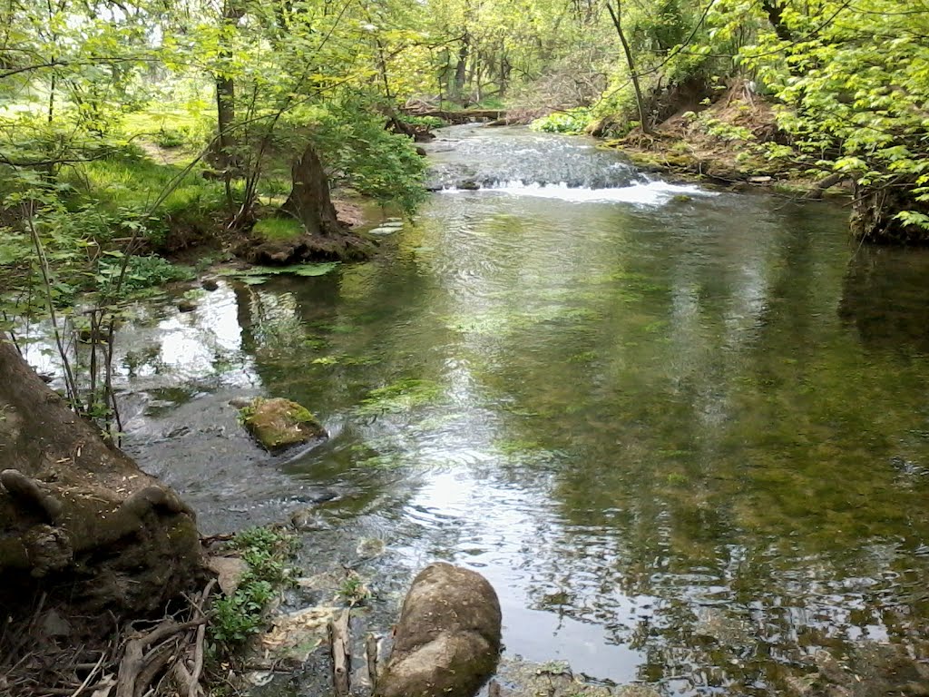 Trindle Spring Run (north of Wegmans) by bac3917