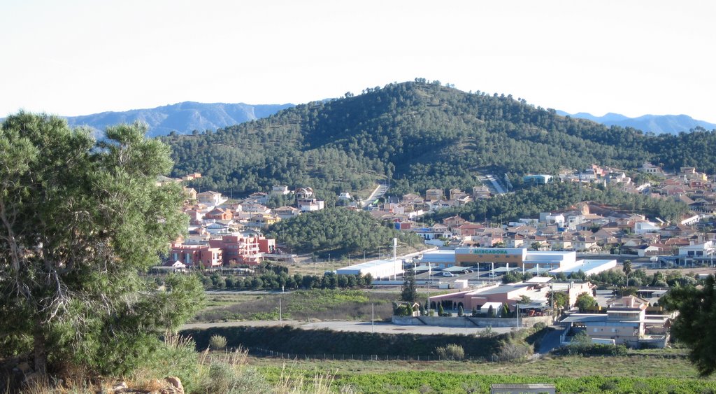 Montepinar desde la Urbanización Cantalares by PSSOAMY