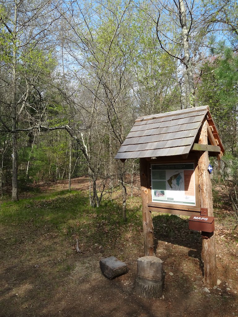 Leonard Schine Nature Preserve by rogerking