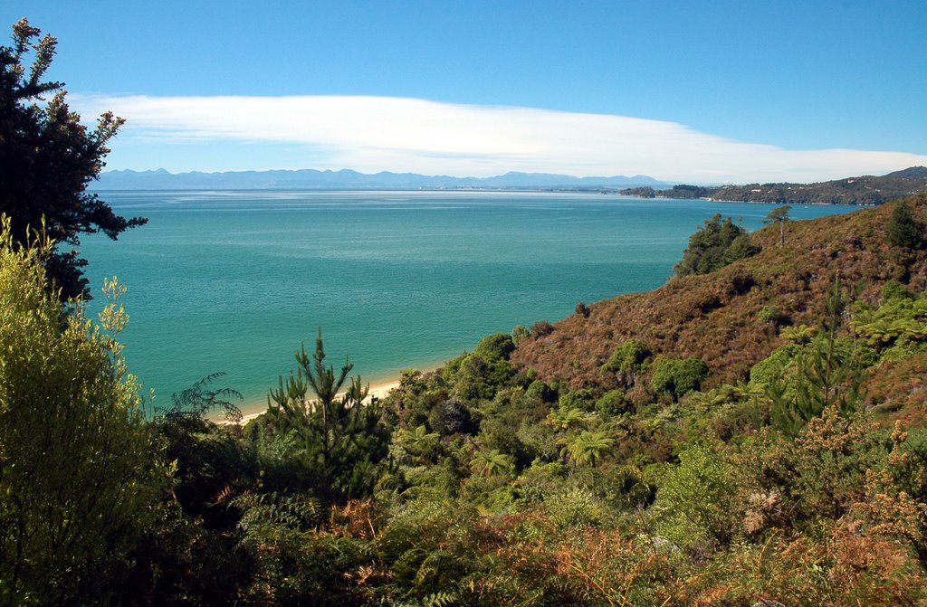 Abel Tasman National Park 7183, New Zealand by tandmkohlbush