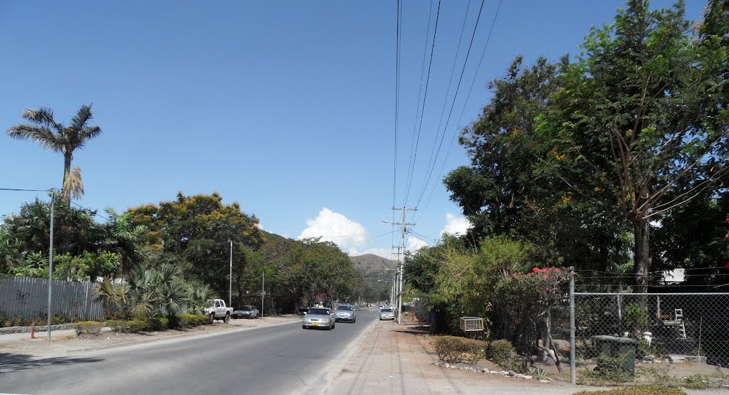 View looking up Lahara Avenue towards PRL Oval in BOROKO, Port Moresby, on 19-11-2011 by Peter John Tate,