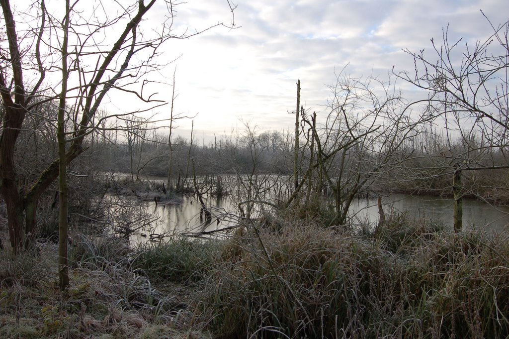 Natuurreservaat Zammelbroek by Dirk Couck