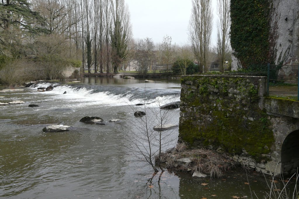 Saint-Laurent-sur-Sèvre, barrage à Milvin by tofil44