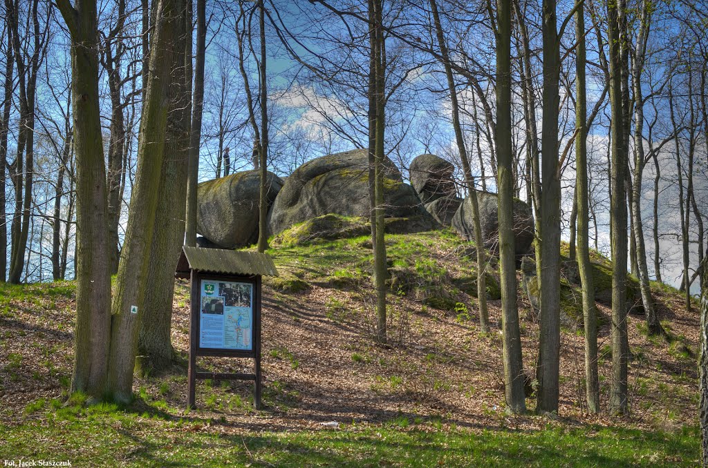 Pohańskie kamienie by Jacek Staszczuk