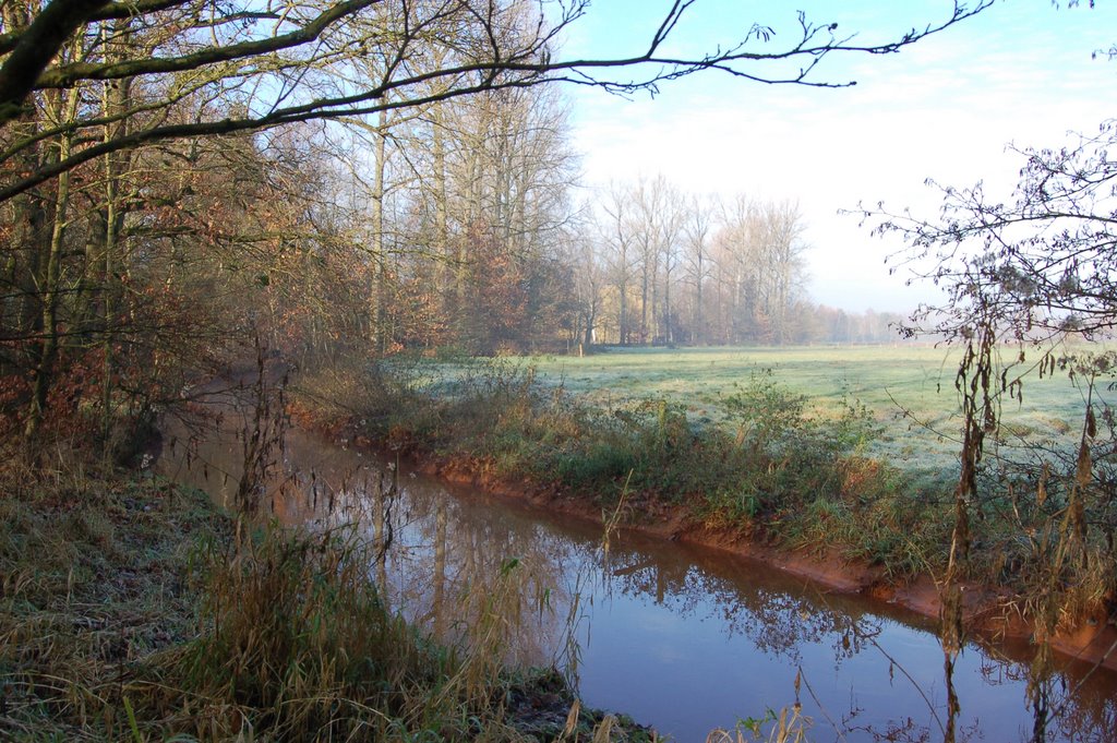 Natuurdomein De Roost by Dirk Couck