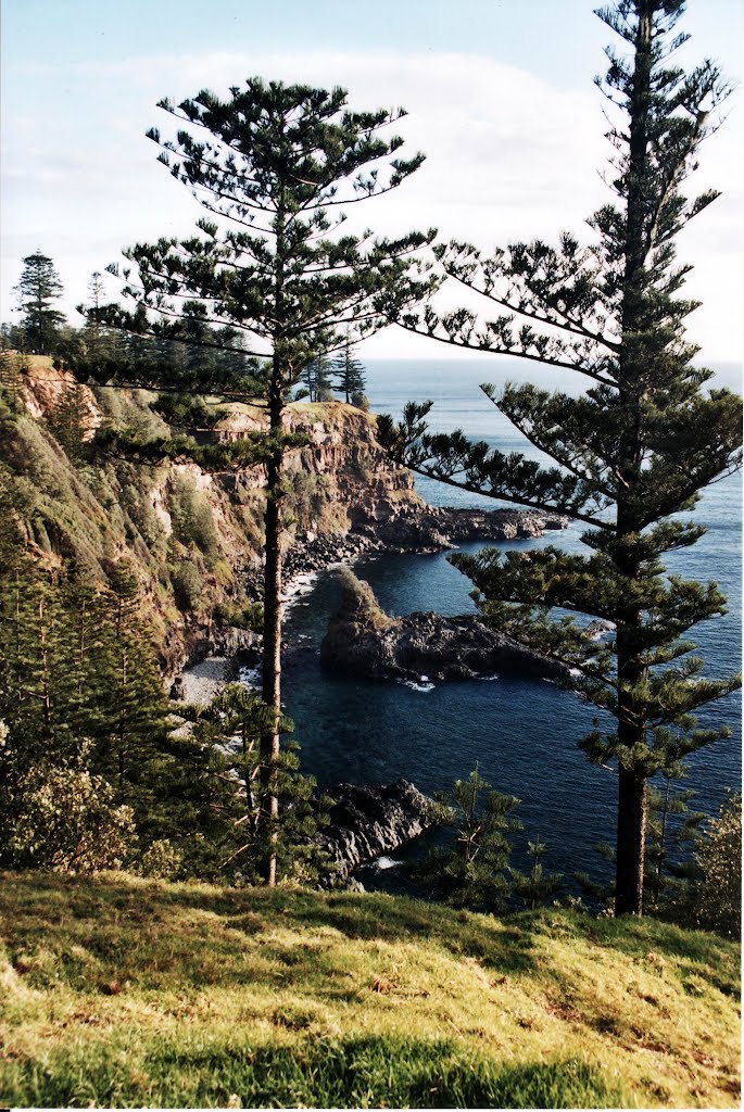 Puppy's Point, Norfolk Island, Australia by Rod46