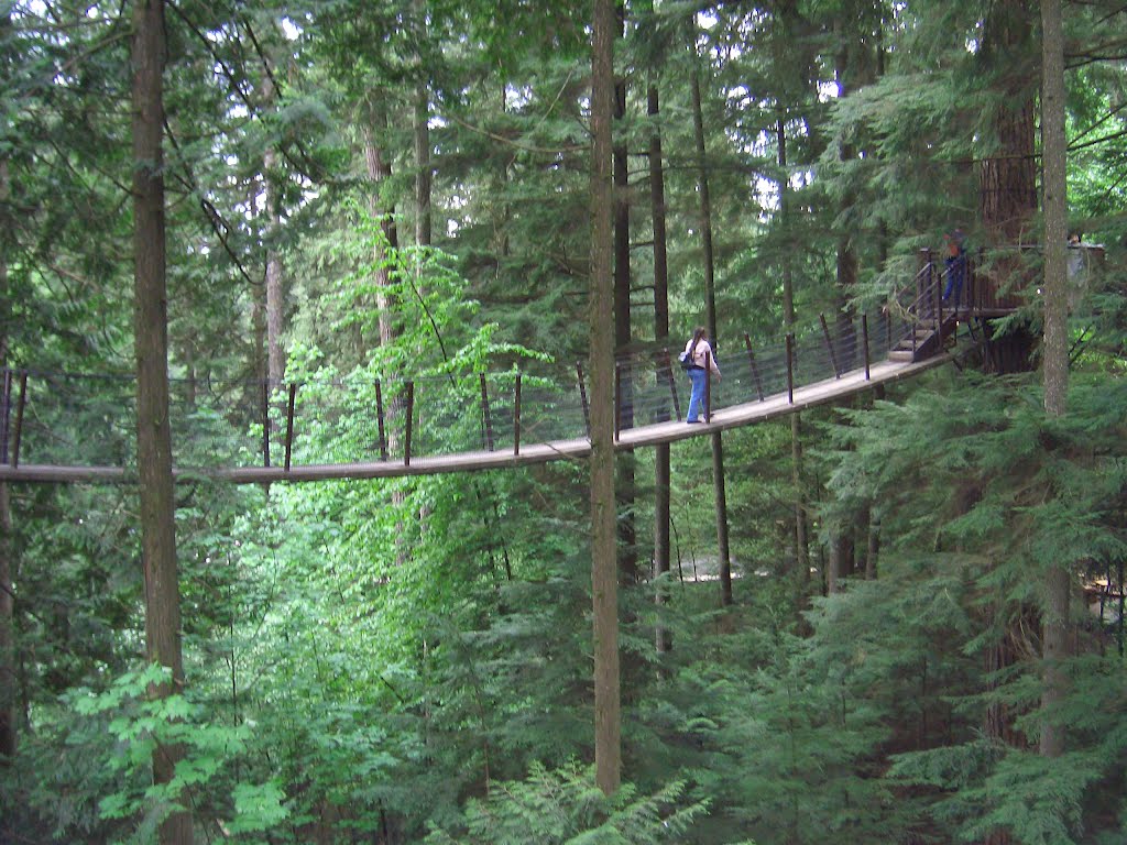 Vancouver - Capilano Suspension Bridge (1892) by Felix2008