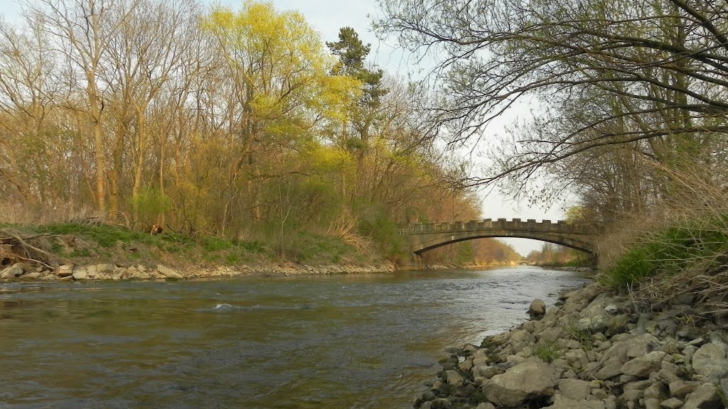 Bodebrücke bei Neugattersleben, April 2012 02 by Holger2401De