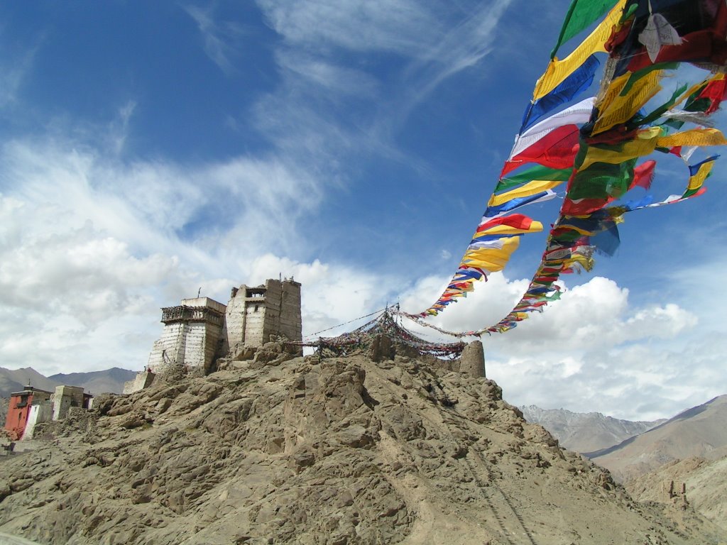 Leh by judithzielstra