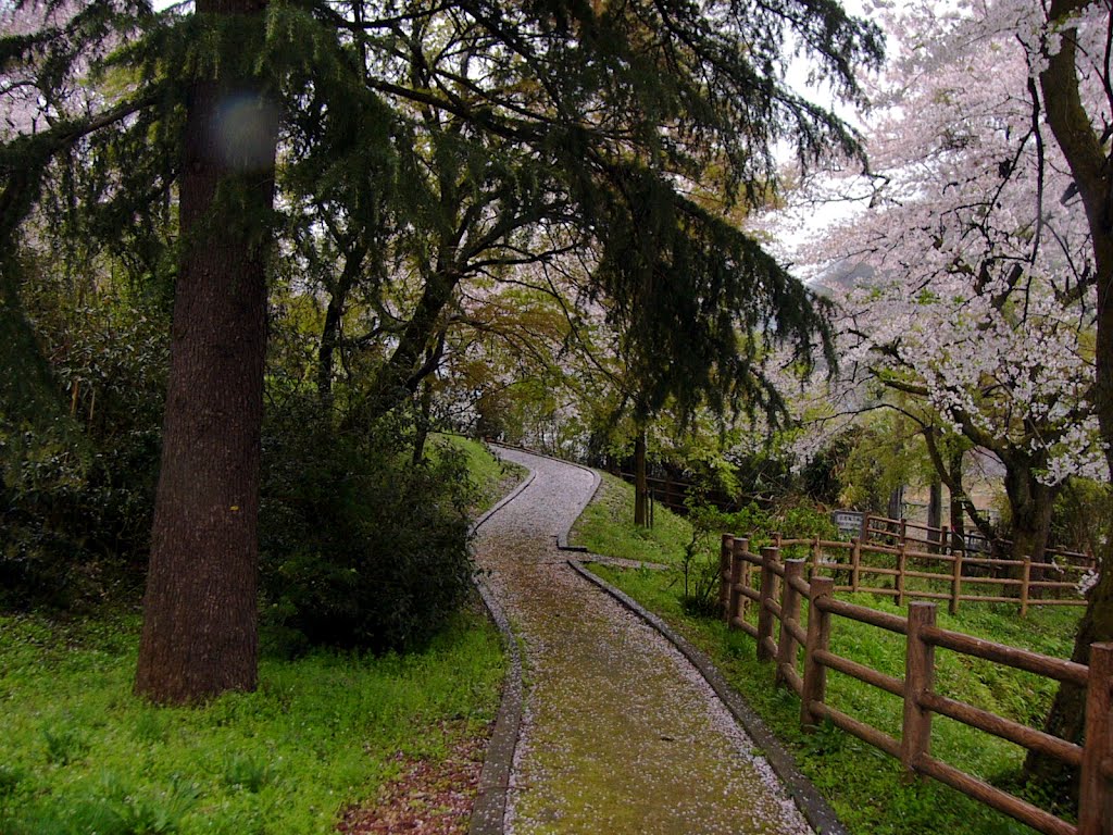 親水公園 by masakichi