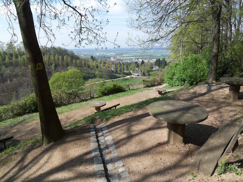 Blick in die Rheinebene vom Aussichtspunkt "Fünf Tische" oberhalb des Fürstenlagers bei Bensheim-Auerbach by habescho