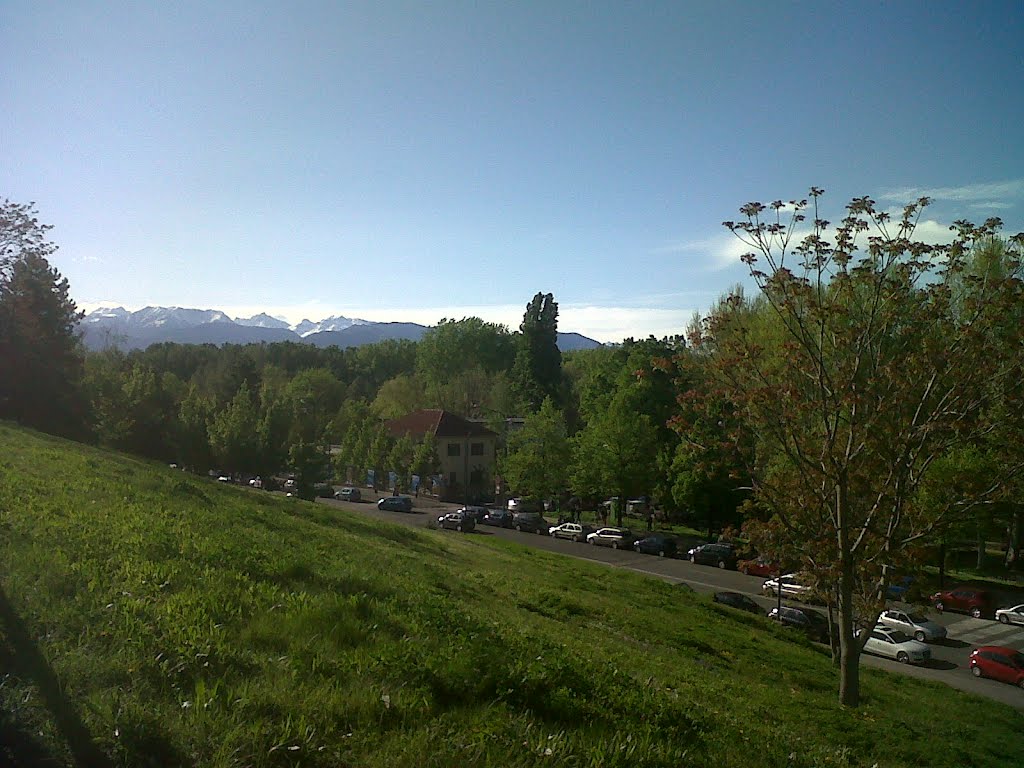 PARCO CARRARA, TORINO by paoloanselmino