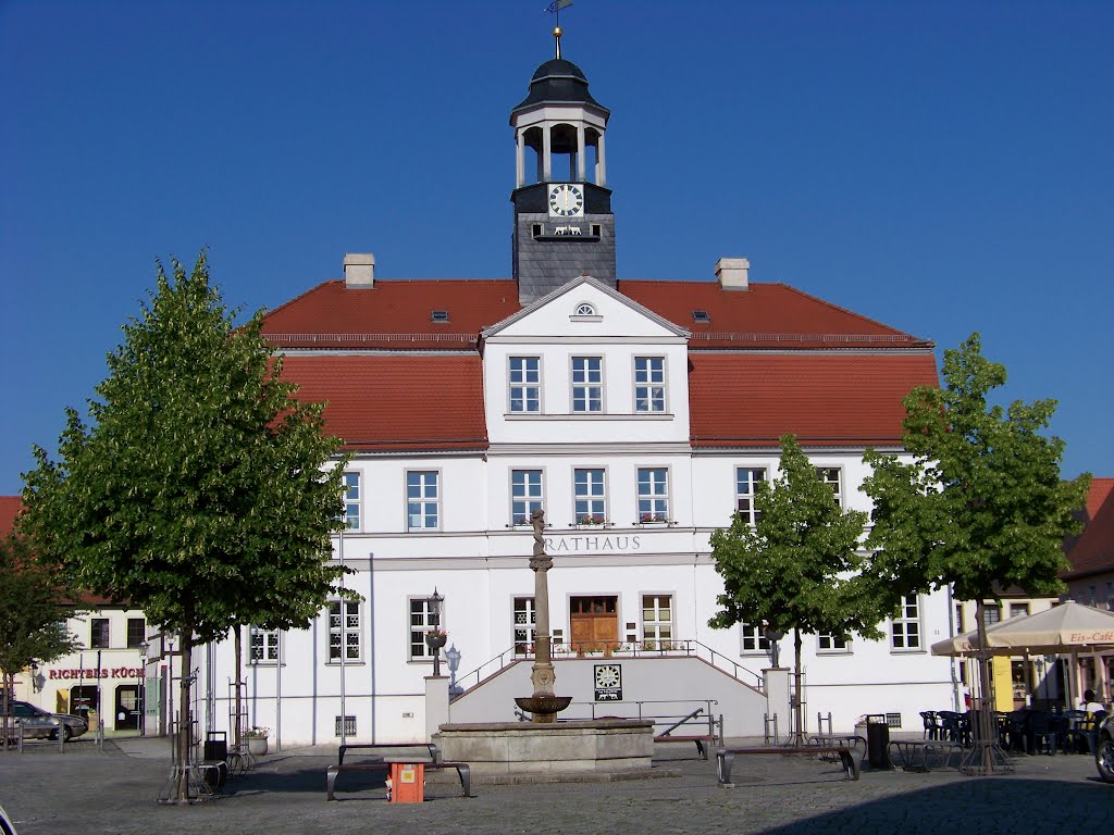 Rathaus mit Ziegenböcke by i-postamt