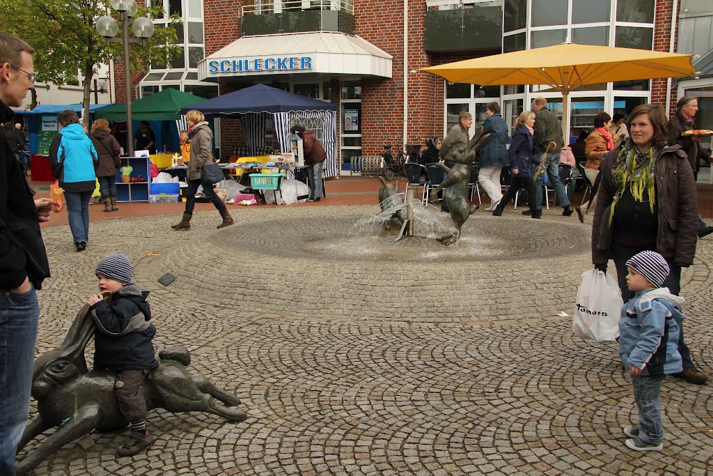 Die Heidener Sandhasen by Stehrbert