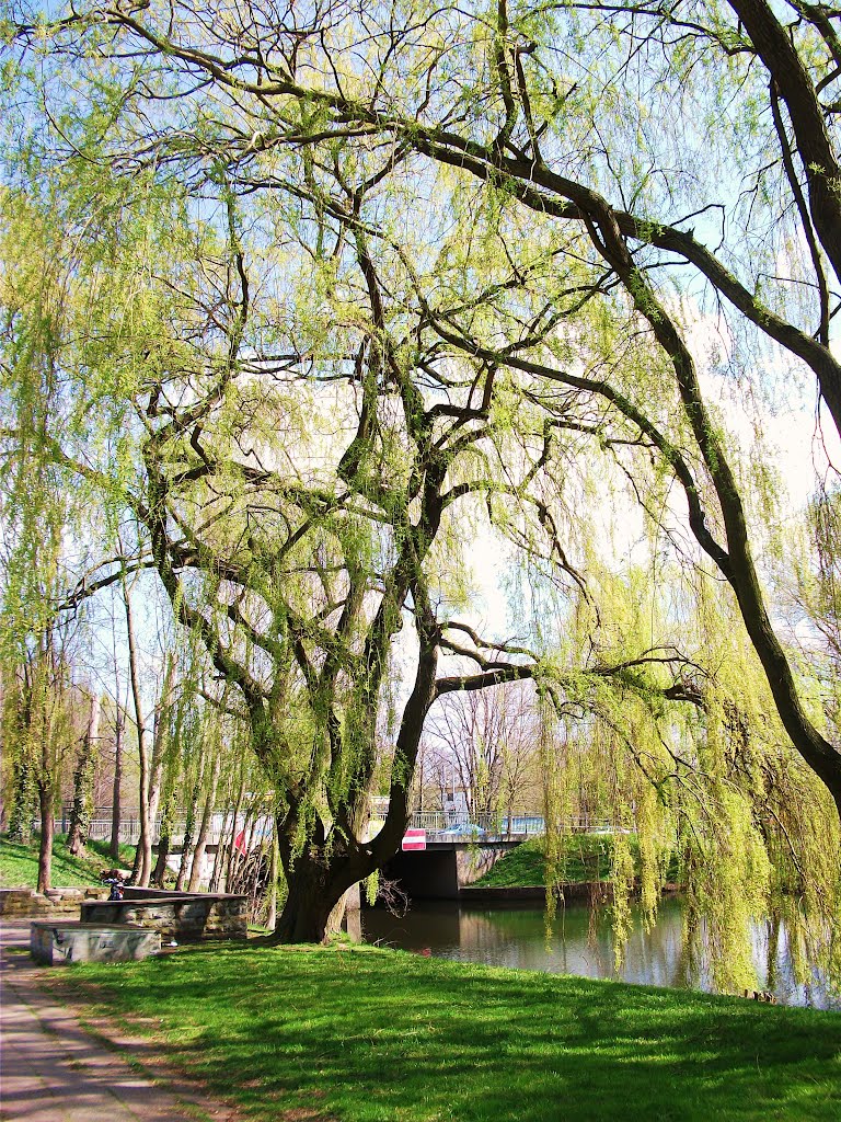 Frühling am Nottekanal by Lutz aus der Münchener Str.